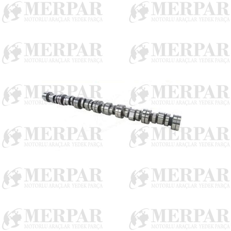 Eksantrik Mili (Kam Mili)